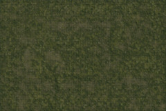 Grasslands Battle Mat (Icons of the Realms)